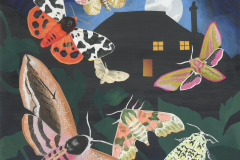 A Celebration of Moths at Court Lodge Farm