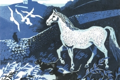 The mare’s tale The mare’s tale