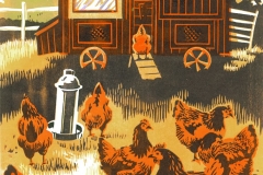 Red Sussex Hens Red Sussex Hens
