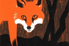 Fox Fox