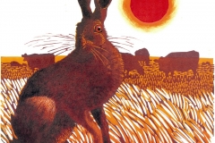 Autumn Hare, Court Lodge Farm