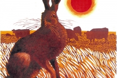 Autumn Hare, Court Lodge Farm Autumn Hare, Court Lodge Farm